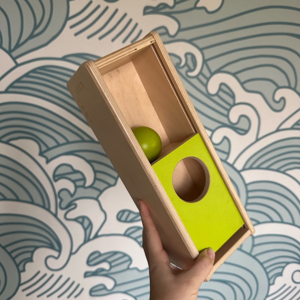 LoveEvery Ball Toy. Wooden Montessori Toy with Green Ball